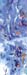 winter_2